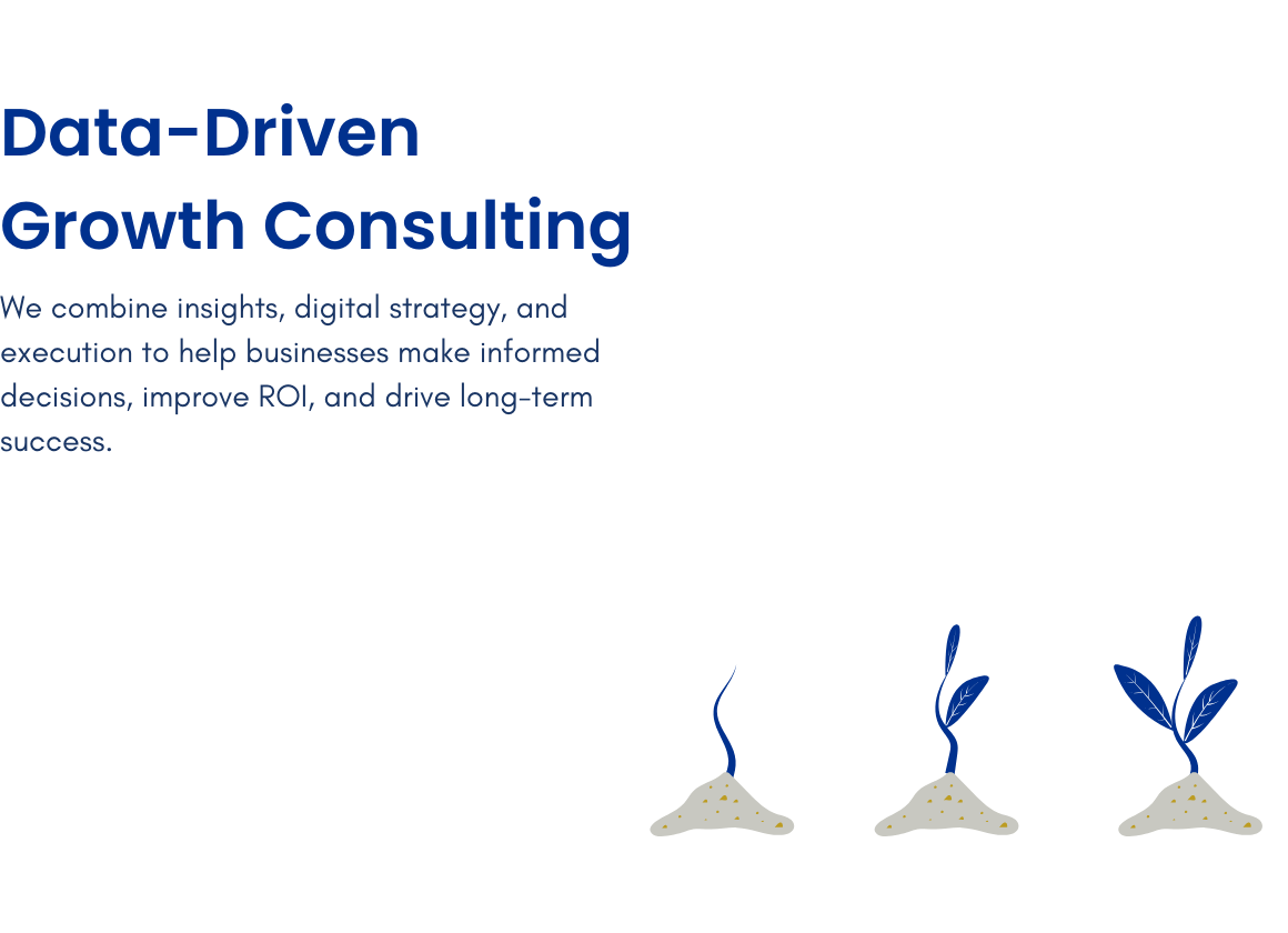 Zaffiro Travels Limited Homepage – Data Driven Growth Consulting